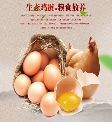 粮食喂养