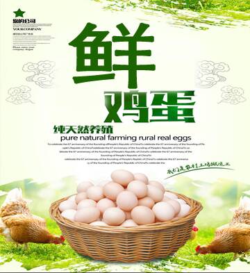 鲜鸡蛋